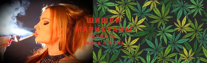 купить наркотики сайты  blacksprut ссылка  Бошки марихуана SATIVA & INDICA  сайты даркнета формула  Нерчинск 